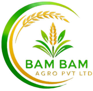 Bam Bam Agro Logo